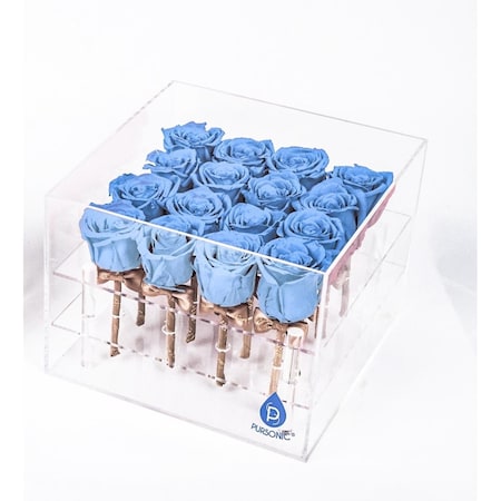 Pursonic Preserved RosesBlue 16 Count, PK16 PR16BE